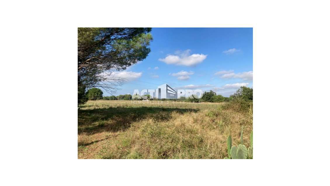 Vente terrains agricoles 1.8ha à Palau-del-Vidre