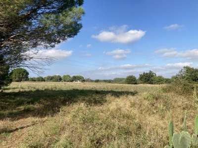 Vente Terrains industriels et agricoles à Palau-del-Vidre