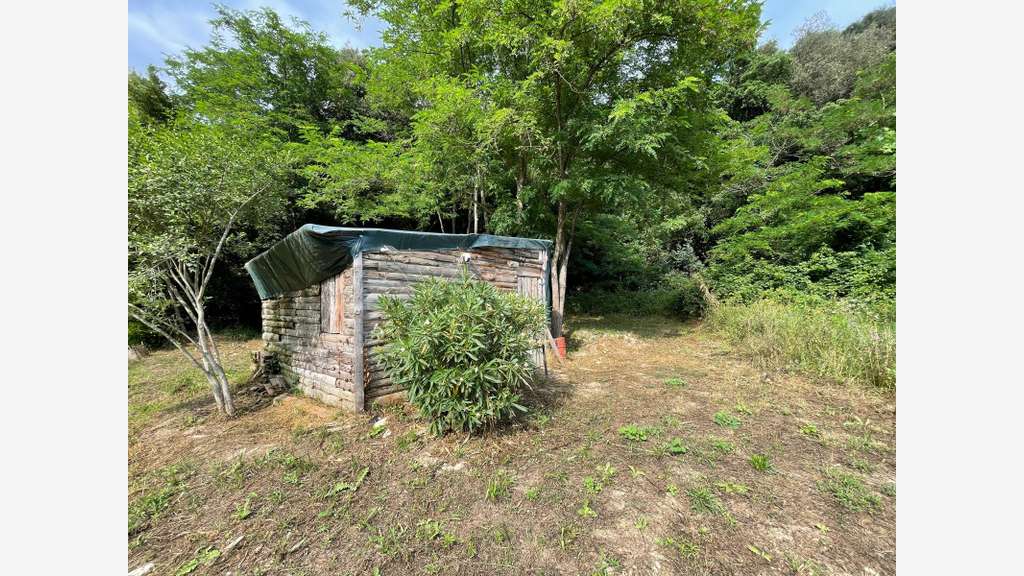 PEGOMAS TERRAIN NON CONSTRUCTIBLE 8136 M2 AVEC 2 S