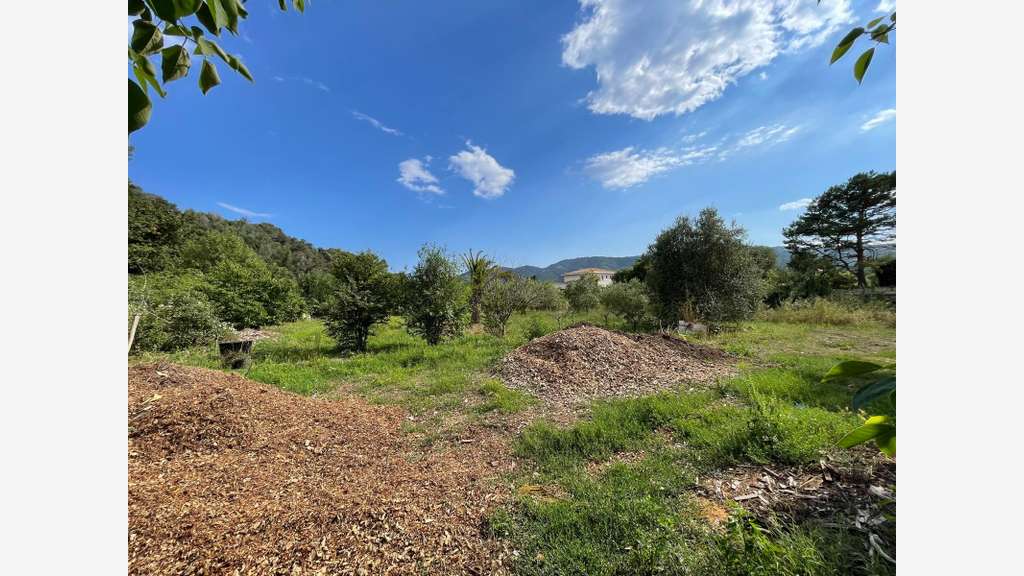 PEGOMAS TERRAIN NON CONSTRUCTIBLE 8136 M2 AVEC 2 S