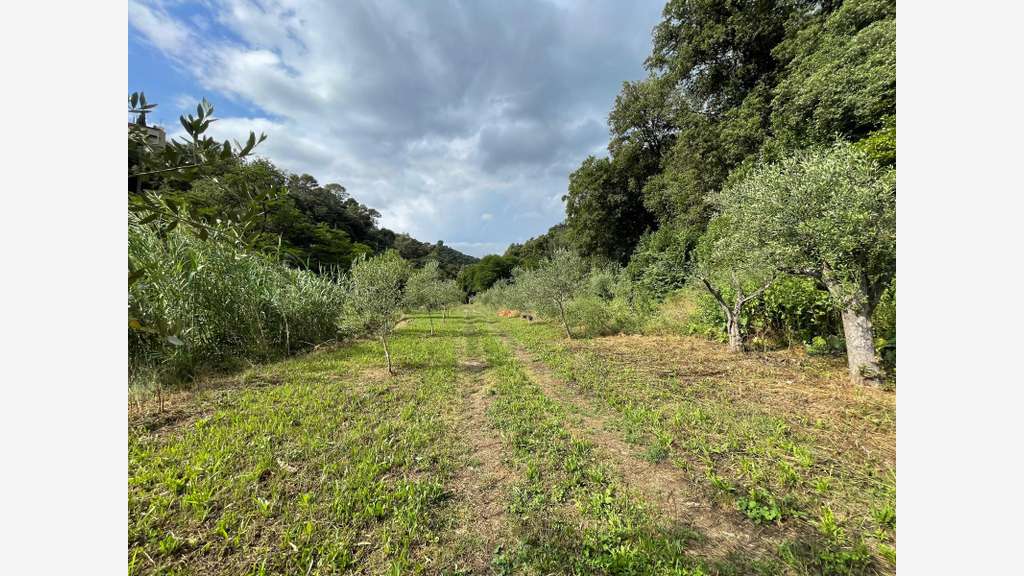 PEGOMAS TERRAIN NON CONSTRUCTIBLE 8136 M2 AVEC 2 S