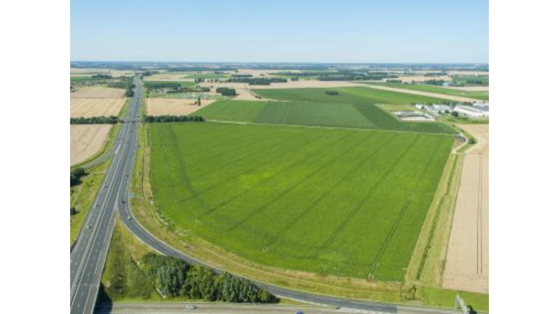 Terrains à vendre à Réau