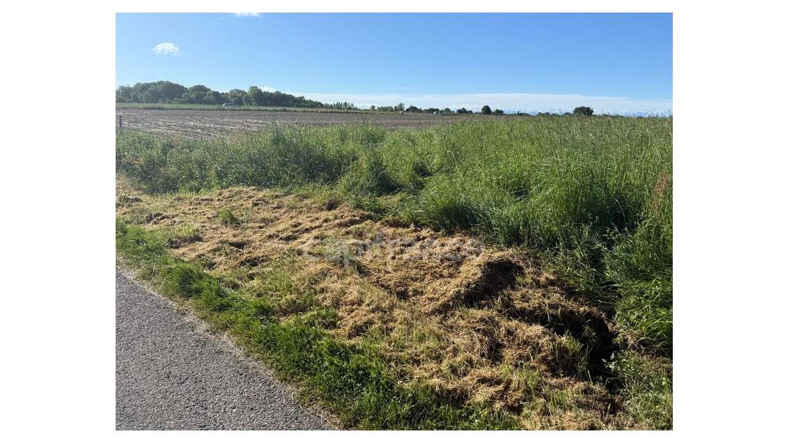 Terrain agricole 2500m² à vendre à Rieumes (31)