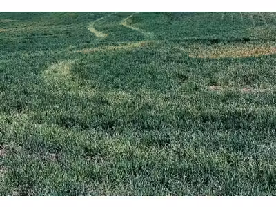 Vente Terrains industriels et agricoles à Rives-du-Loir-en-Anjou