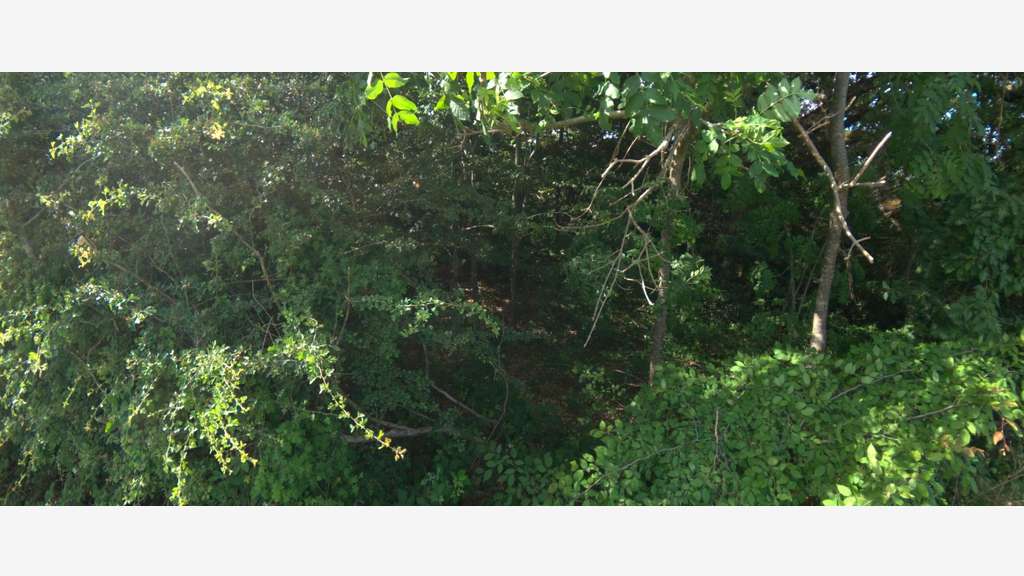 ?A vendre - Roybon (38940) - 3 parcelles de