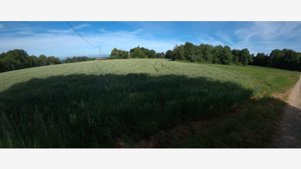 ?A vendre - Roybon (38940) - 3 parcelles de