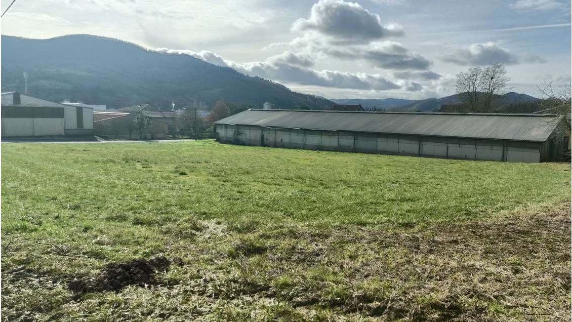 Bâtiment agricole de 908m² sur terrain de 1832m²  