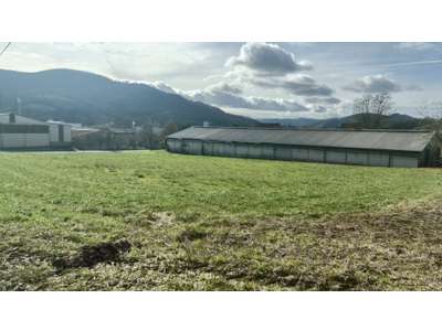 Vente Locaux d'activités - Entrepôts à Saint-Affrique