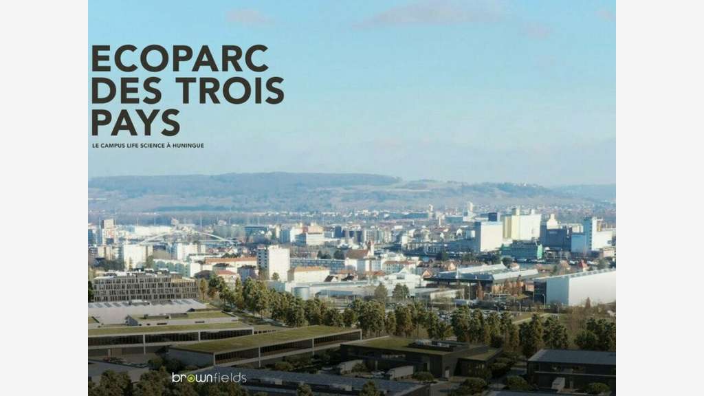 A vendre projet immo de 30 000m² à Saint Louis