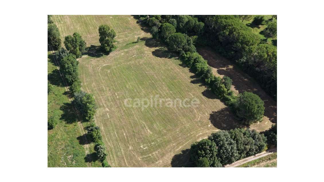 Parcelle agricole 5 m² - SOMMIERES (GARD)