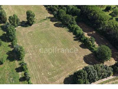 Vente Terrains industriels et agricoles à Sommières