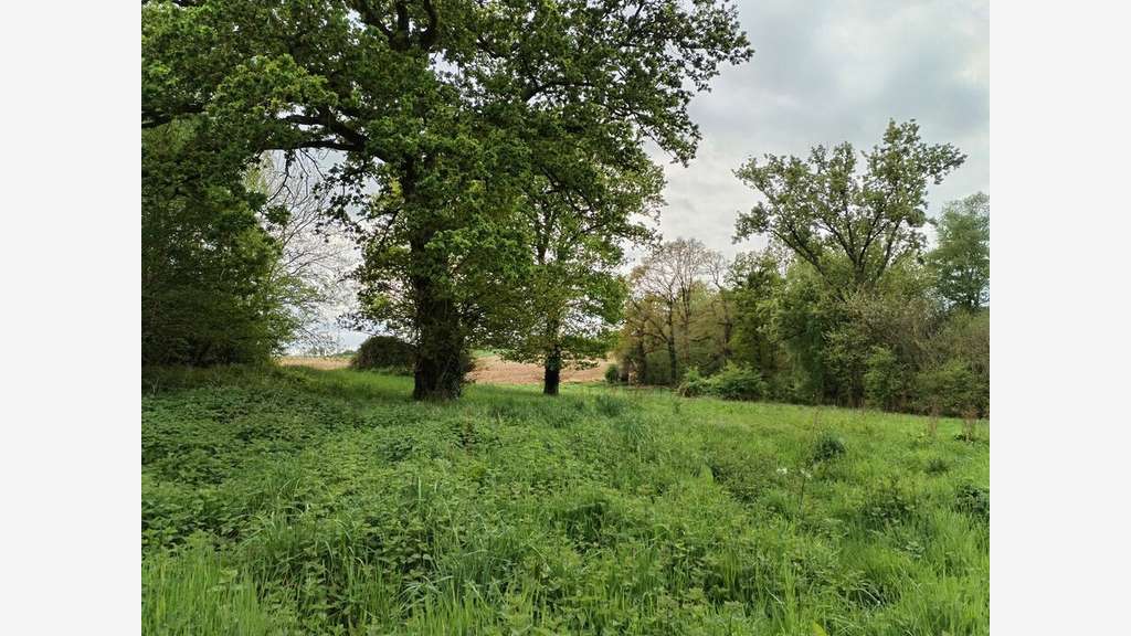 Longère projet touristique à vendre à Kerfourn 