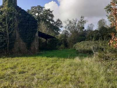 Longère projet touristique à vendre à Kerfourn 