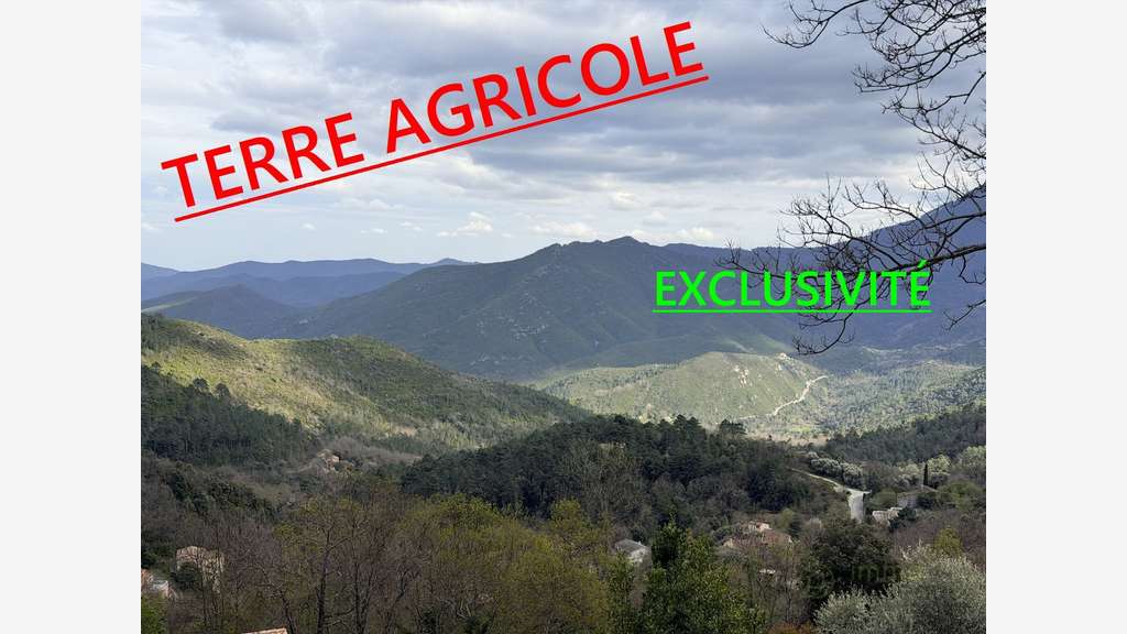 A vendre terrain agricole de 1492m² à Vénaco