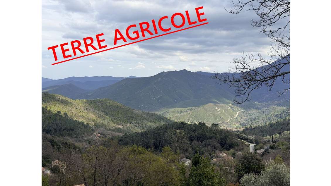 A vendre terrain agricole de 1492m² à Vénaco