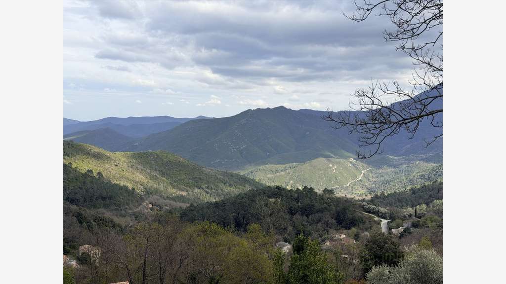 A vendre terrain agricole de 1492m² à Vénaco