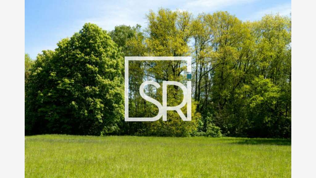 Vente terrain 1114m² en centre-ville de Vichy