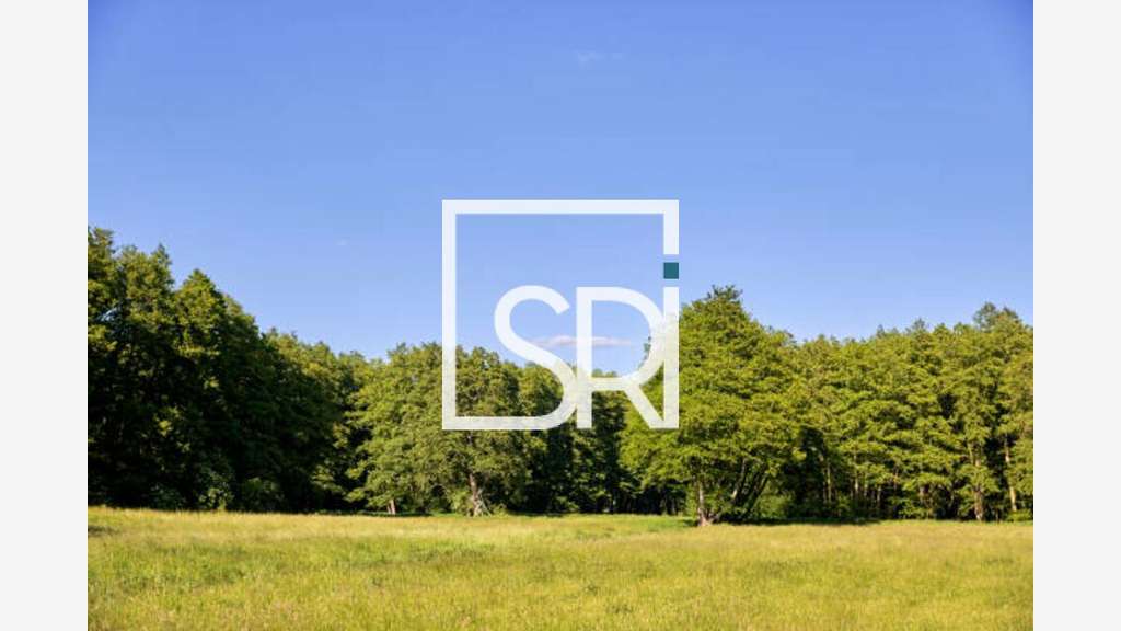 Vente terrain 1114m² en centre-ville de Vichy