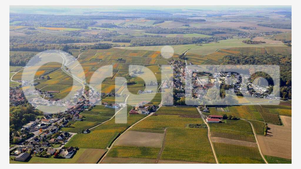 Terrain 1246m² à vendre à Pargny-lès-Reims