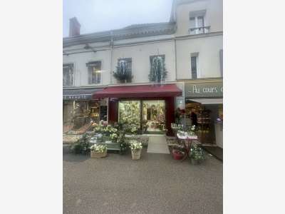 Gérance ou vente boutiques de fleurs à Amboise