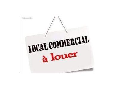 Location Locaux commerciaux - Boutiques à Limoges