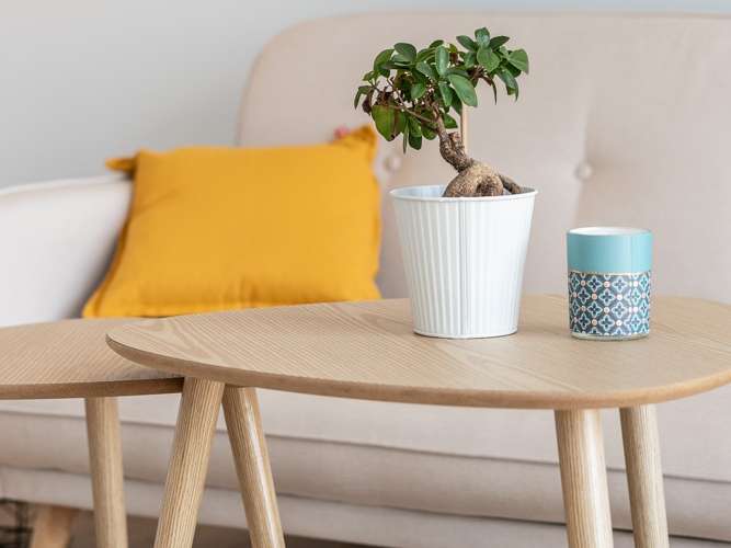 Ouvrir une enseigne NESTENN