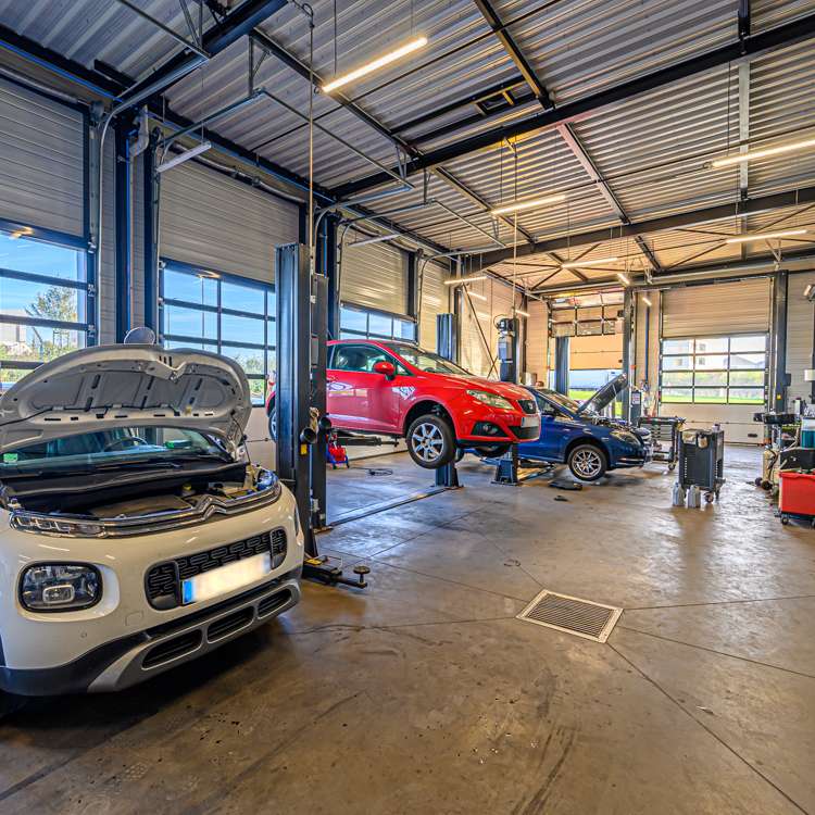 NORAUTO : des franchisés satisfaits