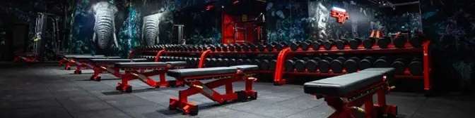 Devenir franchisé ONE FITNESS CLUB