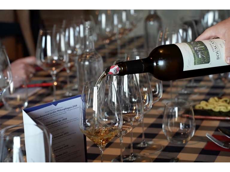 Rencontres Régionales CAVAVIN 2026 – Épisode 3 : Escale dans le Gers, au cœur des terroirs du Sud-Ouest