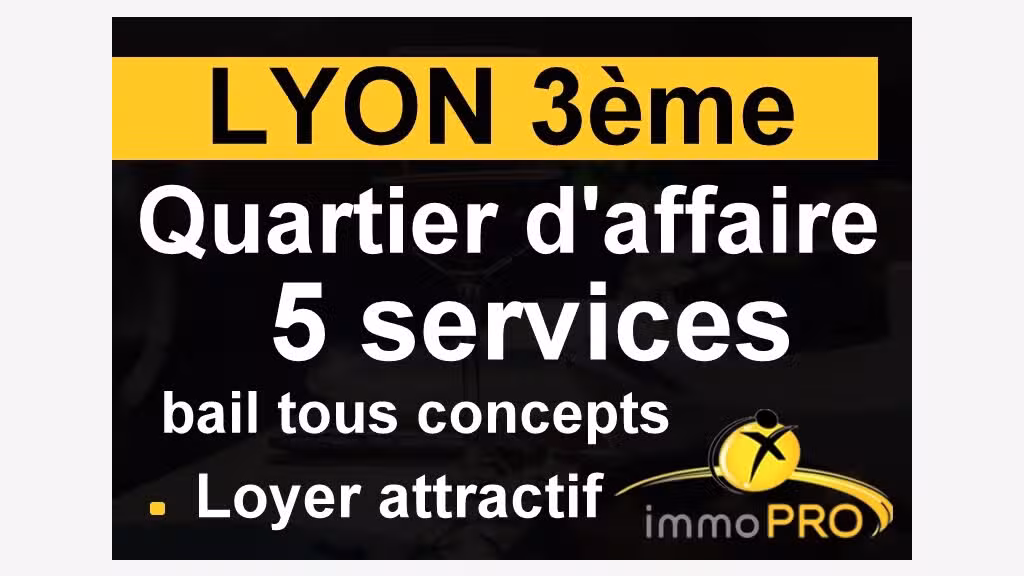A vendre affaire avec beaucoup de cachet à Lyon
