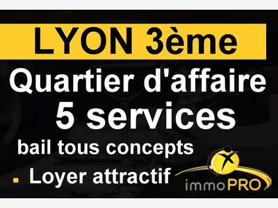 A vendre affaire avec beaucoup de cachet à Lyon