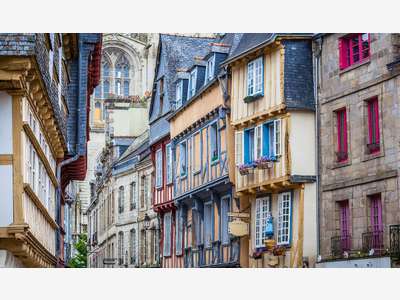 56-Agence immobilière 420 lots de gestion
