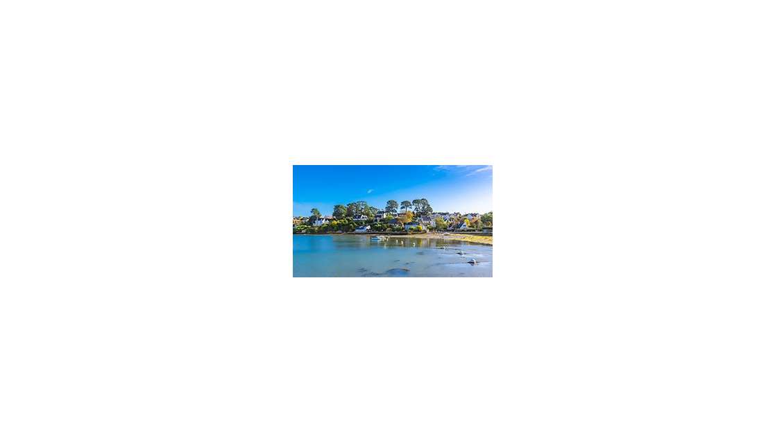 56-Agence immobilière 420 lots de gestion