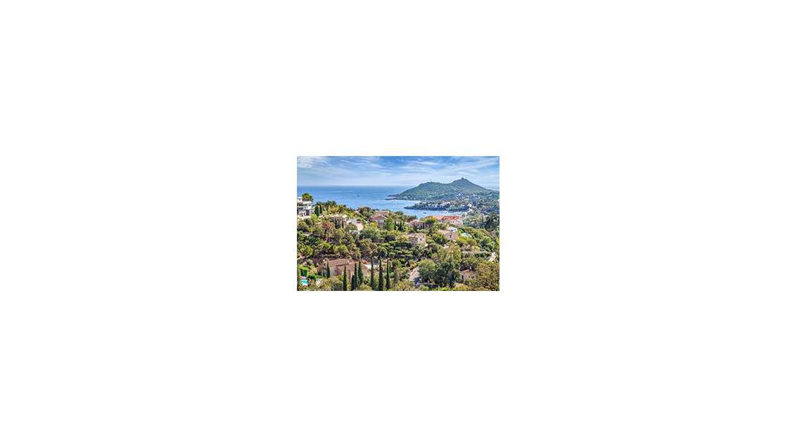 83-Agence immobilière secteur côtier à développer