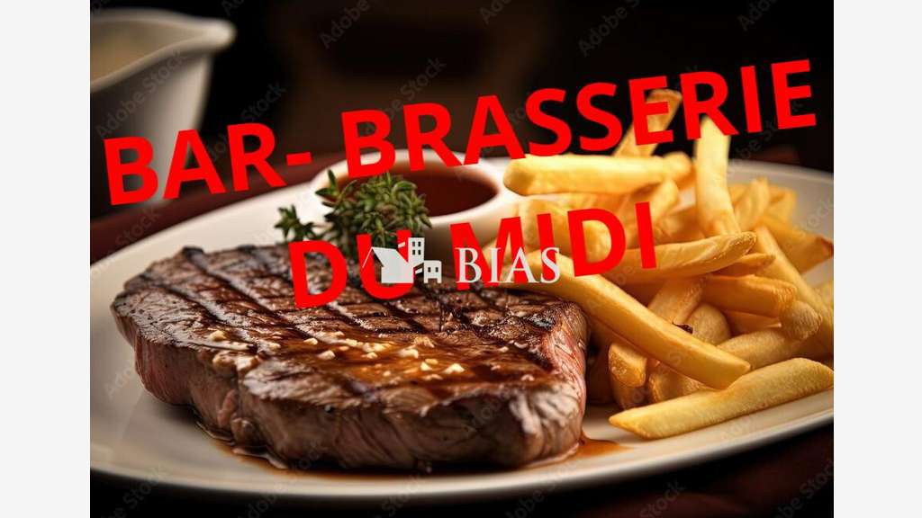 Vend brasserie du midi terrasse centre ville 76