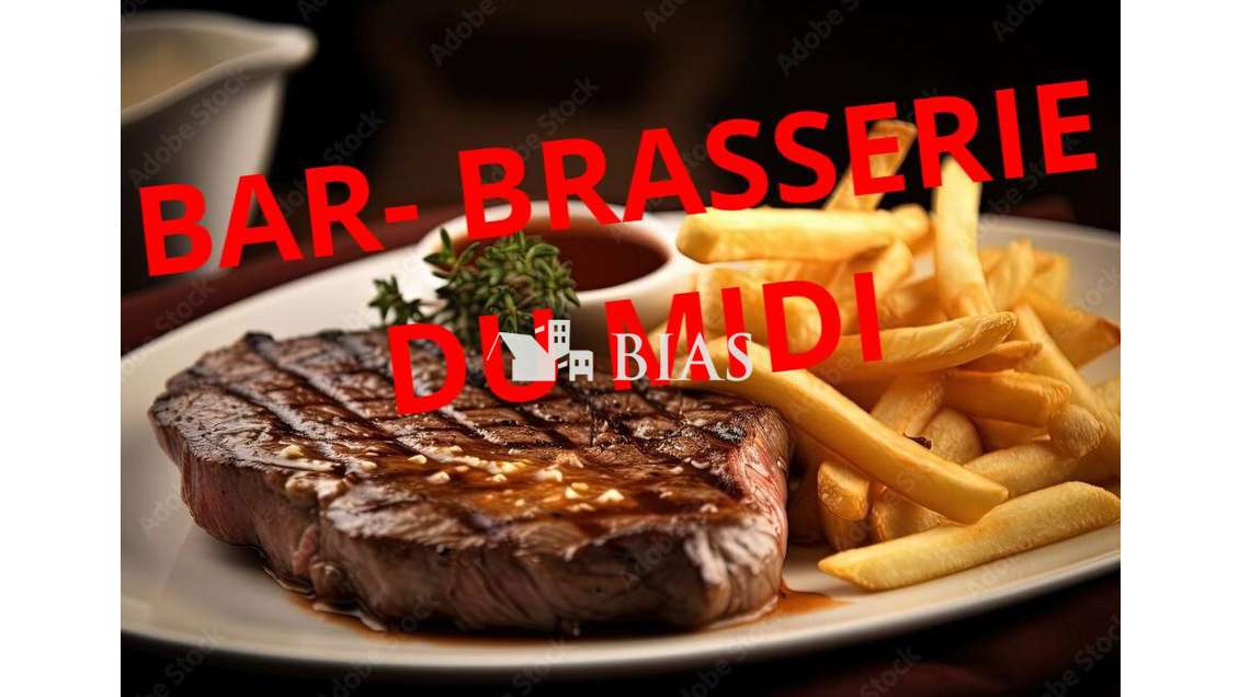 Vend brasserie du midi terrasse centre ville 76