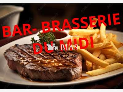 Vend brasserie du midi terrasse centre ville 76