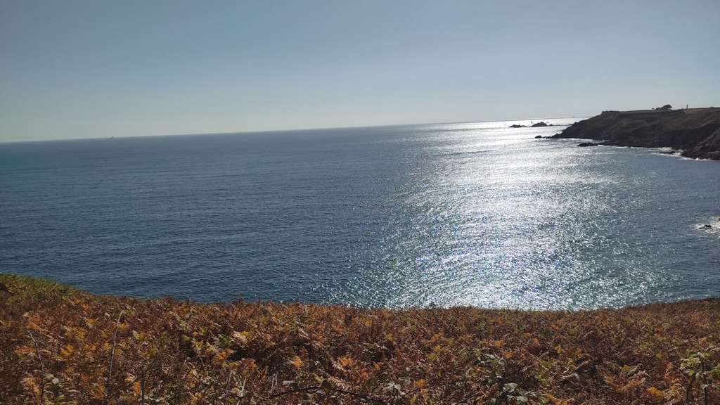 Vente FDC restauration rapide en Finistère Nord
