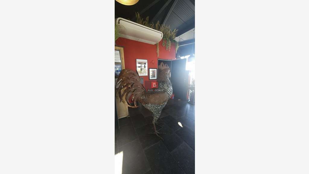 Fonds de restaurant de 410m² à vendre à Carpentras