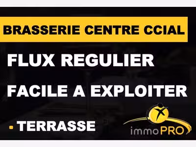 Vente brasserie 40 couverts et terrasse en C.Cial