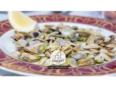 Vente Bar - Brasserie - Tabac à Concarneau