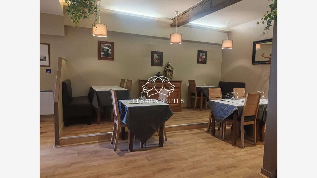 Vente restaurant traditionnel Fontaines-Sur-Saône