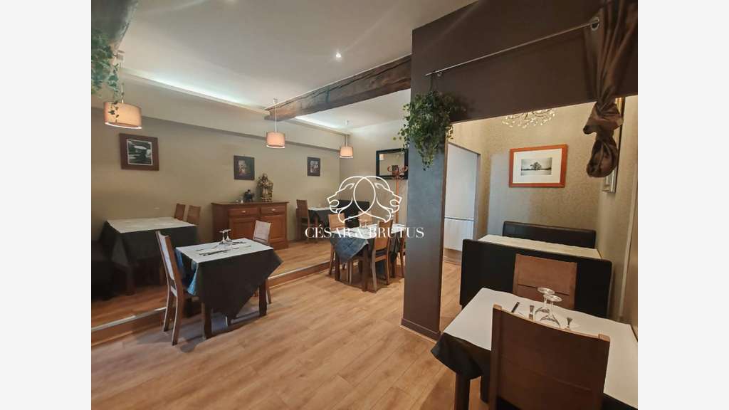 Vente restaurant traditionnel Fontaines-Sur-Saône