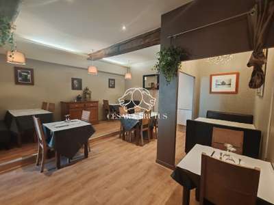 Vente restaurant traditionnel Fontaines-Sur-Saône