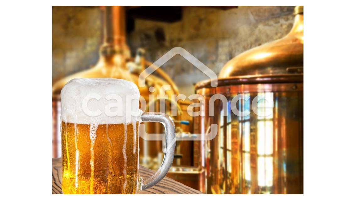 Pub brasserie d'exception à vendre à Grenoble (38)