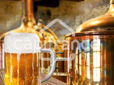 Vente Bar - Brasserie - Tabac à Grenoble