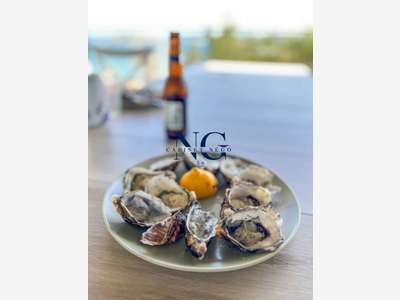 Cède bar PMU grande terrasse port de plaisance 44