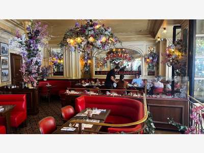 A vendre exceptionnelle brasserie Lyon 69007