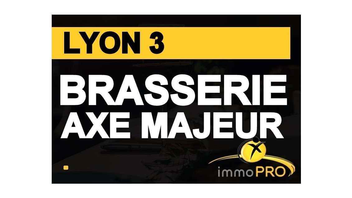 Brasserie à vendre sur axe majeur à Lyon