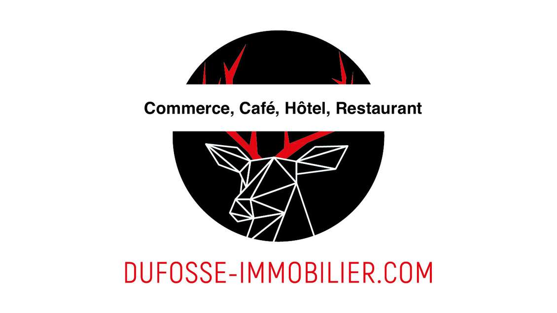 Vente restaurant de 250m² à Lyon Presqu'île